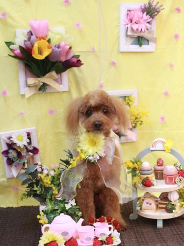 20230319チャタくん